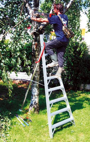 Professionelle Leiter / Anstell - 1969 - 1969S   - Frigerio Carpenterie - Aluminium / für Außenbereich / Obstbaum