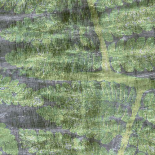 Moderne Tapete - FERNS / TV-02 - Wallpepper - abstraktes Motiv / bedruckt
