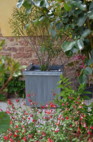 Pflanzkübel für Orangerie / Zink - BAC 4 BOULES - MISTERZINC - quadratisch / für öffentliche Bereiche / für Außenbereich