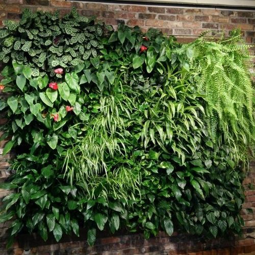 Wandbegrünung / lebende Pflanzen - MODULOGREEN® - BY NATURE - modulare Platte / natürlich / für den Innenraum