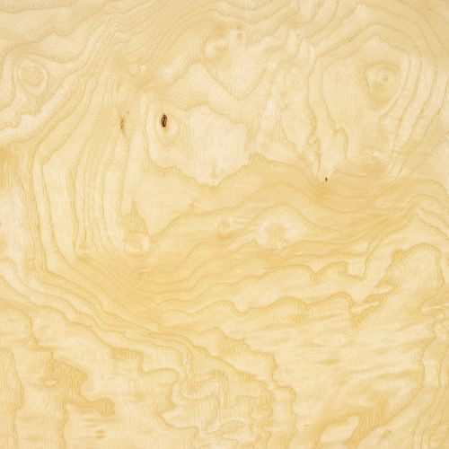 Holzfurnier - ASH - SCHORN&GROH - FSC-zertifiziert