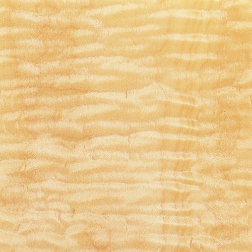 Holzfurnier - AMERICAN MAPLE - SCHORN&GROH