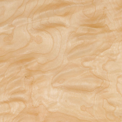 Holzfurnier - BIRCH - SCHORN&GROH