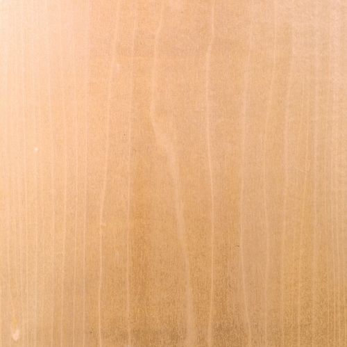 Holzfurnier - POPLAR - SCHORN&GROH
