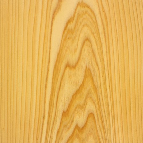 Holzfurnier - CYPRESS  - SCHORN&GROH
