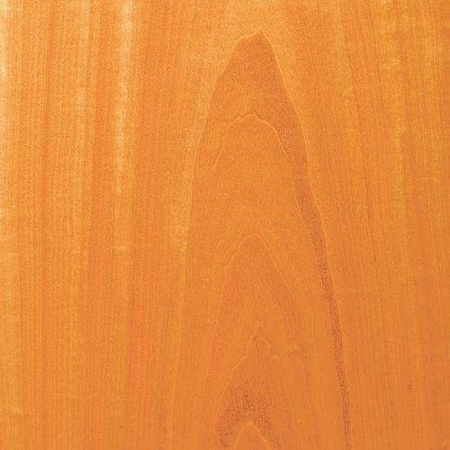 Holzfurnier - CEYLON SATINWOOD - SCHORN&GROH