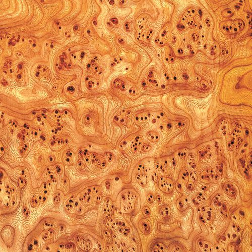 Holzfurnier - ELM - SCHORN&GROH