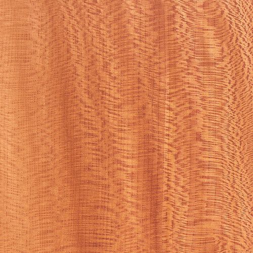 Holzfurnier - EUROPEAN LACEWOOD - SCHORN&GROH