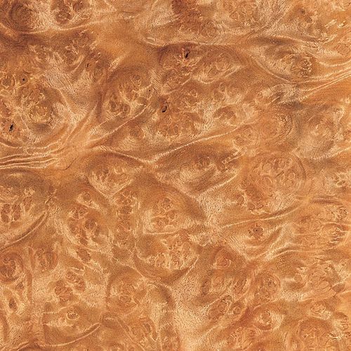 Holzfurnier - LAUREL BURL - SCHORN&GROH