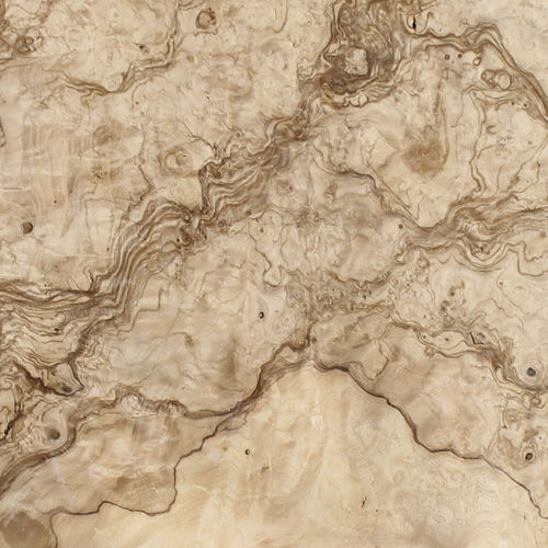 Holzfurnier - OLIVE ASH BURL - SCHORN&GROH - FSC-zertifiziert