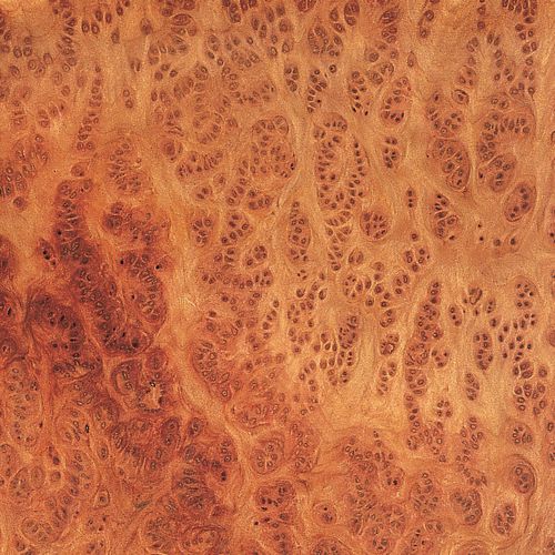 Holzfurnier - VAVONE - SCHORN&GROH