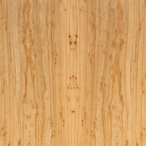 Holzfurnier - PREMIUM : SOFT PEPPER - SCHORN&GROH