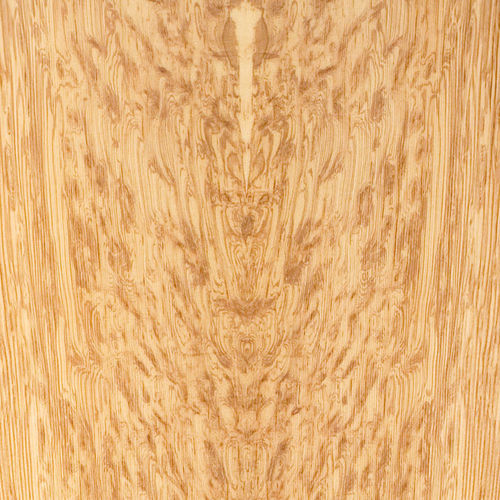 Holzfurnier - PREMIUM : ENGLISH OCELOT - SCHORN&GROH