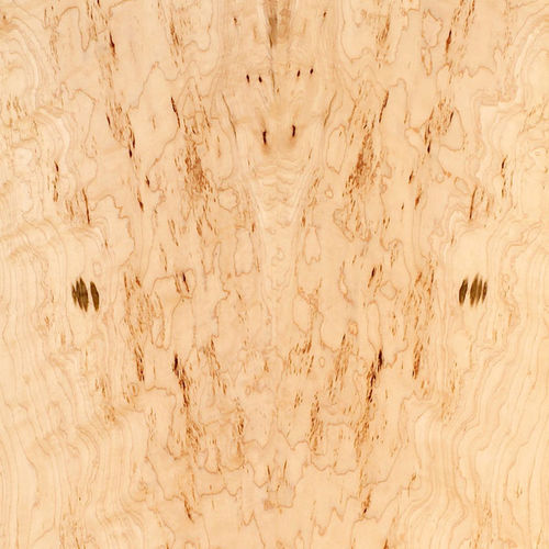 Holzfurnier - PREMIUM : ARCTIC LIGHT - SCHORN&GROH