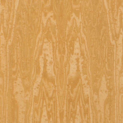 Holzfurnier - PREMIUM : WATER PEARLS - SCHORN&GROH