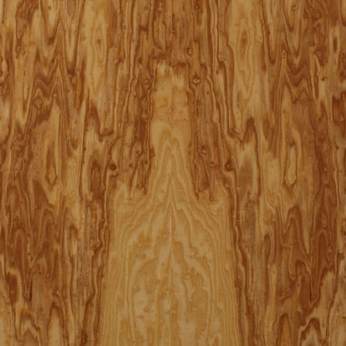 Holzfurnier - SELECT : ASH POMMELE - SCHORN&GROH