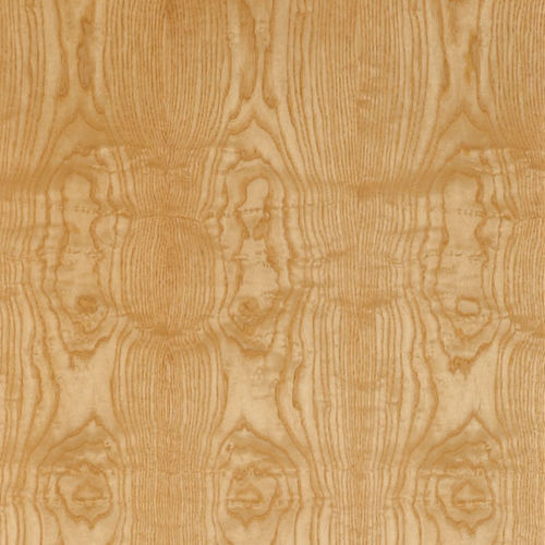 Holzfurnier - SELECT : ASH CLUSTER - SCHORN&GROH
