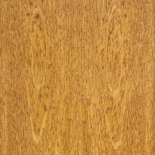 Holzfurnier - SELECT : CEREJEIRA - SCHORN&GROH