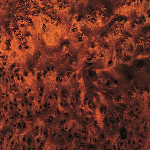 Holzfurnier - THUYA BURL - SCHORN&GROH