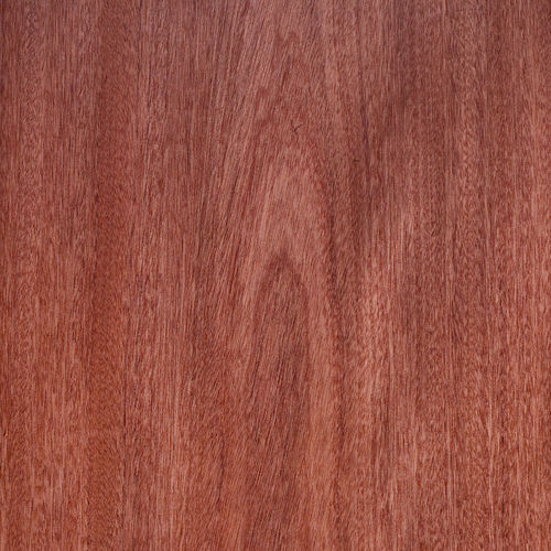 Holzfurnier - SAPELE - SCHORN&GROH - FSC-zertifiziert
