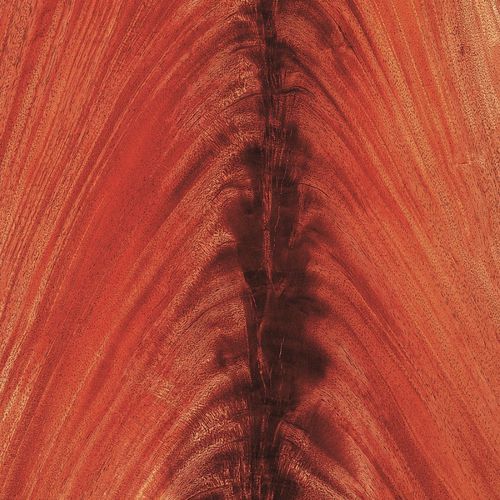 Holzfurnier - AFRICAN MAHOGANY - SCHORN&GROH