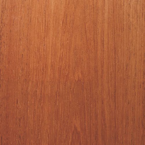 Holzfurnier - CEDAR LEBANON - SCHORN&GROH