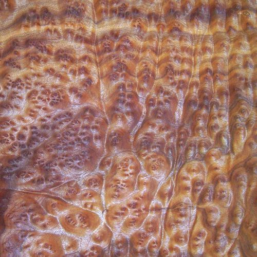 Holzfurnier - CAMPHOR BURL - SCHORN&GROH