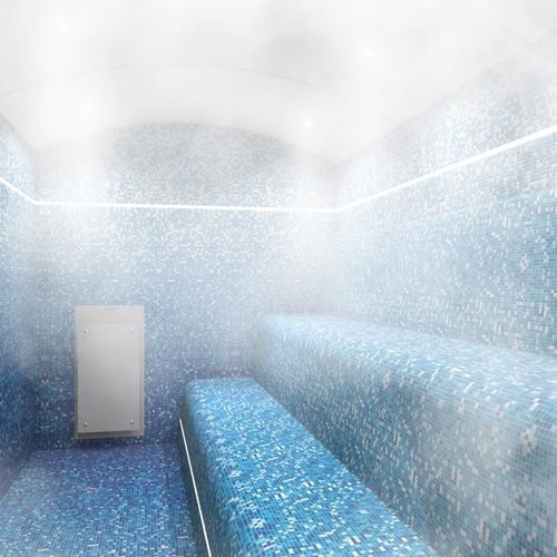 Dampferzeuger für Hammam - ULTRASTEAM® - Cleopatra World of Wellness