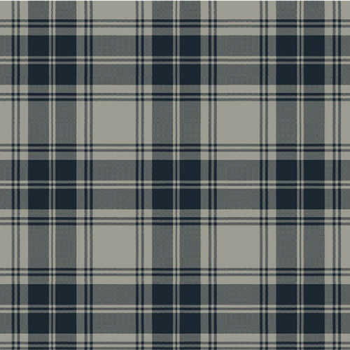 Gewebter Teppichboden - DOUGLAS GREY TARTAN  - STEVENS AND GRAHAM - Wolle / Nylon / für Dienstleistungsbereich