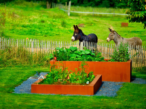 Pflanzkasten für Kräuter / Cortenstahl - BACS DE JARDINAGE - PK70 - für Privatgebrauch