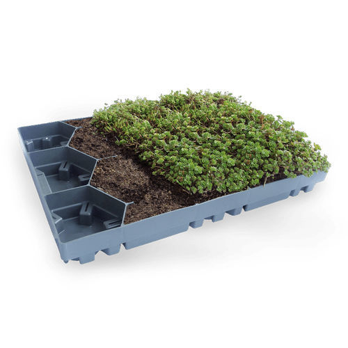 Extensives Gründach - ECOSEDUM - PURUS PLASTICS - für Schrägdach / für Flachdach