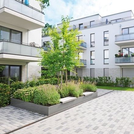 Holz-Pflanzkübel - RAISED BEDS - Richard Brink GmbH & Co KG - rechteckig / dreieckig / maßgefertigt