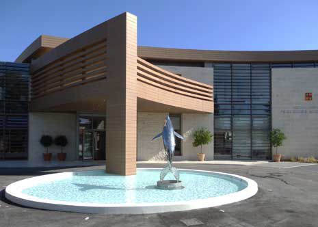 Schwimmbecken für Außenbereich - FUJI FOUNTAINS NIKOLAIDIS - für den Innenraum / erdverlegt / Beton