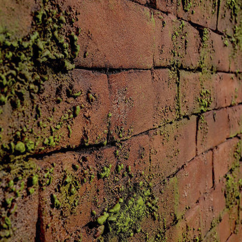 Innenwandverkleidung - MASONRY MOSS - Artstone - für Außenbereich / Beton / texturiert