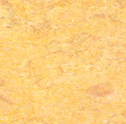 Marmor-Steinplatte - GIALLO ATLANTIDE - Dalle Nogare MARMI - für Fußboden / für Fassaden / wandmontiert