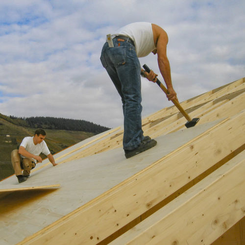 3-schichtige-Holzpaneel - VITA - elka Holzwerke GmbH - für Bauanwendungen / für Innenausbau / wandmontiert