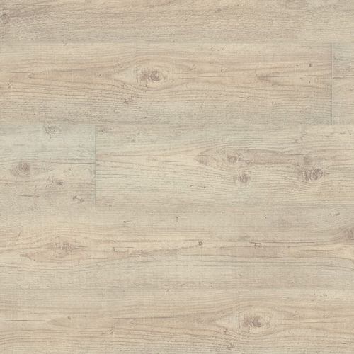 HDF-Laminatboden - 500 XL V4 : DENALI PINE - windmöller flooring products WFP GmbH - Clip-System / Holzoptik / für Privatgebrauch