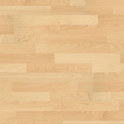 HDF-Laminatboden - 300 : CANADIAN MAPLE  - windmöller flooring products WFP GmbH - Clip-System / Holzoptik / für Privatgebrauch