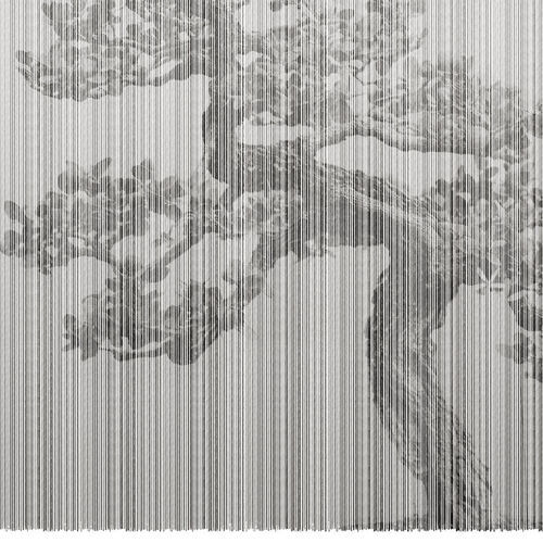 Moderne Tapete - PLAGUE RE-EDITION - LondonArt Wallpapers - Vinyl / PVC / Naturmotiv