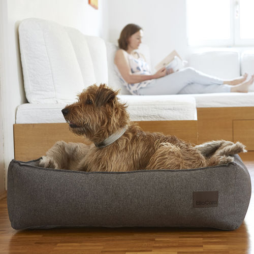 Baumwolle-Hundebett - NUBE - MiaCara - Polyester / grau / maschinenwaschbar