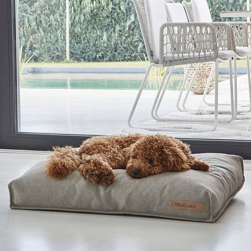 Polyester-Hundekissen - MARE - MiaCara - grau / sandfarben / rechteckig