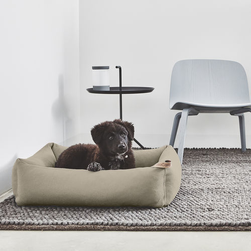 Polyester-Hundebett - SONNO - MiaCara - maschinenwaschbar / rechteckig / S