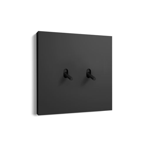 Kippschalter - IC3480 - ICÓNICO - Einbau / doppelt / Metall