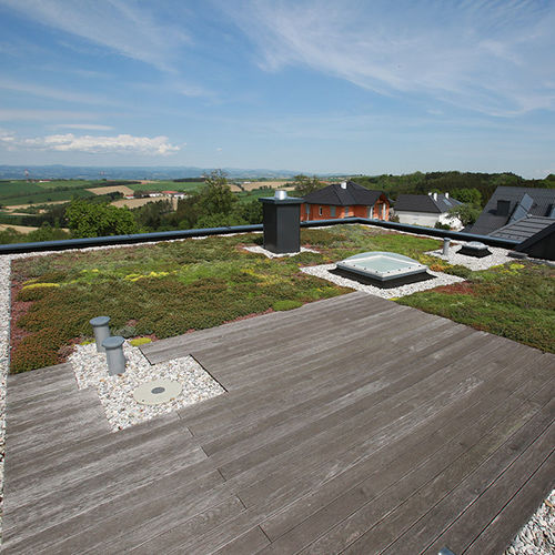 Gründach für Flachdach - MONSUN GmbH - extensiv / Intensiv / für Schrägdach