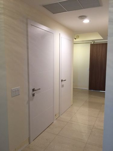 Tür für Innenbereich - FUSION LINE - Dayoris doors - Holzfurnier / einflügelig / ohne Verglasung