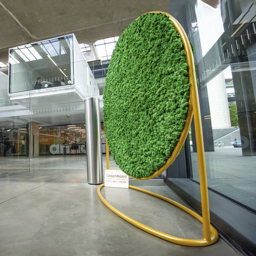 Stabilisierter Pflanzrahmen - G-SCREENS - Greenmood - Polster Moos / dichtes Blattwerk / Flechte