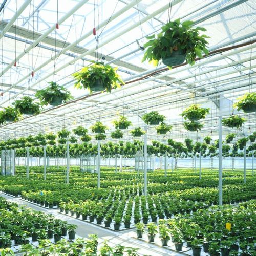 Gewächshaus für Gewerbegebrauch - DEFORCHE - für Produktionszwecke / einkuppelig / Venlo