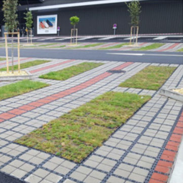 Pflasterstein-Gitter - Permeable - Moonbay Industrial Co., Ltd.