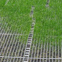 Geogitter zur Bodenstabilisierung - GEORUNNER® TURF - Presto Geosystems - für Fundament / Polymer