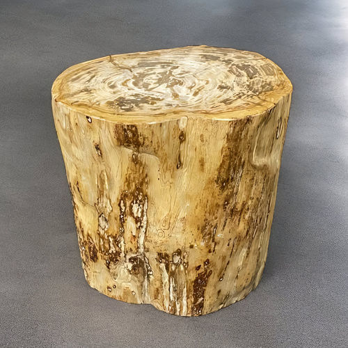 Moderner Beistelltisch - JAWA - ARRELART - versteinertes Holz / Gestell aus versteinertem Holz / oval